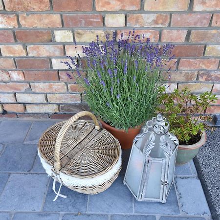 Tasteful Holiday Home In Sijsele Brugge With Garden Veldhoek Exterior foto